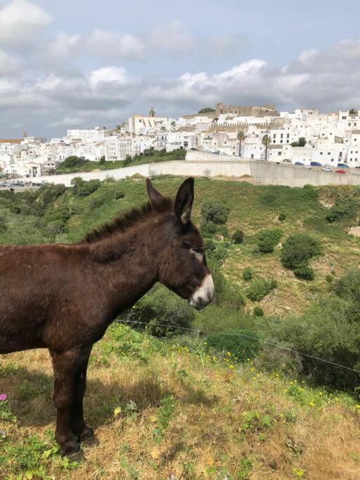 Casita Tacande - Una Bonita Casita Situada En El Casco Antiguo De Vejer De La Frontera Extérieur photo